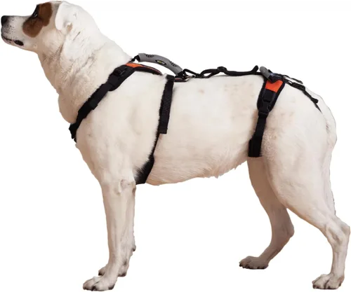 Vista 8 de Help 'Em Up® - Arnés de elevación para perros │ Arnés de elevación ajustable para perros │ Soporte de cuerpo completo, soporte de pierna trasera