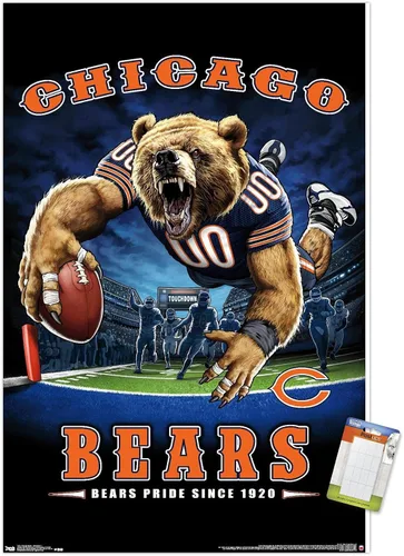 Vista 12 de Trends International NFL Chicago Bears - Póster de pared de End Zone 17, 14.725 x 22.375 pulgadas, versión enmarcada de madera de granero