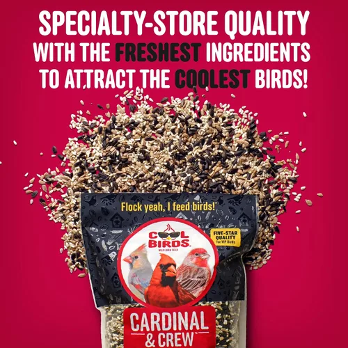 Vista 4 de Cool Birds Cardinal & Crew Semilla para Aves Silvestres – 10 lb. Girasol de Aceite Negro, Corazones de Girasol y Mezcla de Cártamo para Cardenales