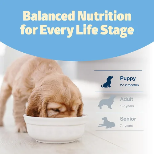Vista 8 de Blue Buffalo Freedom - Alimento seco natural para cachorros, sin granos, pollo, 4 libras