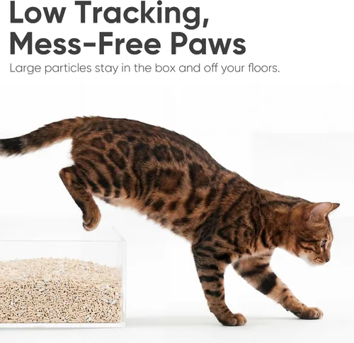 Vista 4 de FUKUMARU Tofu - Arena para gatos, súper ultra absorbente, arena aglutinante para gatos de 12 libras, desechable, natural, ligera, sin polvo