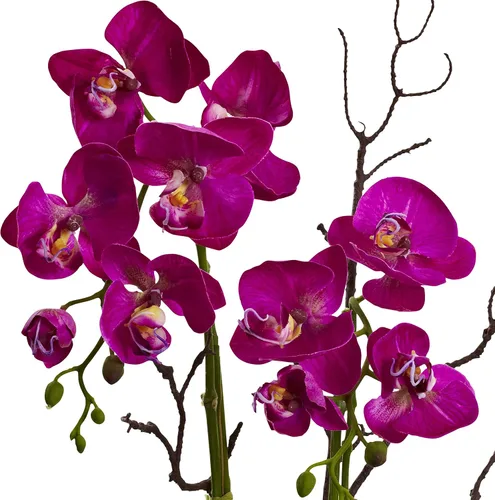 Vista 3 de Nearly Natural Arreglo floral de orquídeas y suculentas
