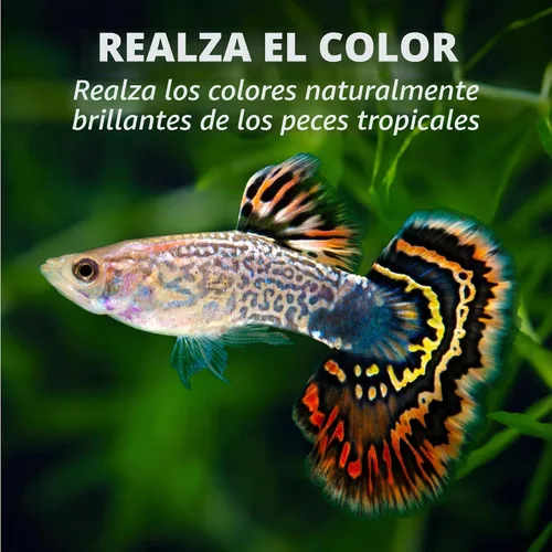 Vista 5 de TetraPro Tropical Color Crisps, Alimento para Peces con Realzadores de Color Natural, Comida para Peces Tropicales, 7.41 Onzas