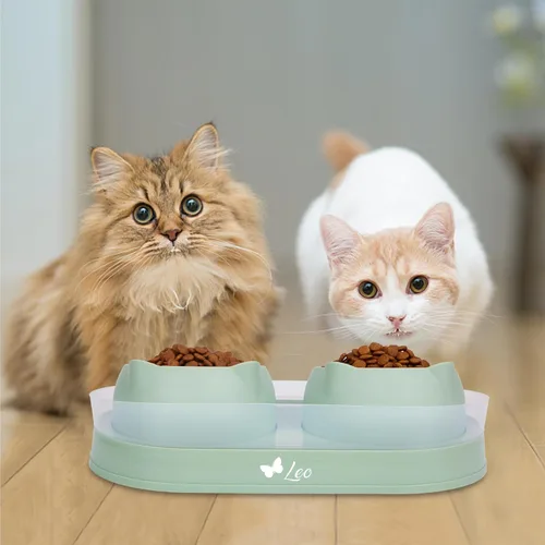 Vista 7 de Cuenco personalizado para gatos, platos de doble elevación para mascotas para gatitos pequeños, cuencos de agua y comida para perros pequeños