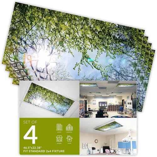 Vista 15 de OCTO LIGHTS Cubiertas fluorescentes de árbol para luces de techo 2x4 Árbol de acacia cielo azul