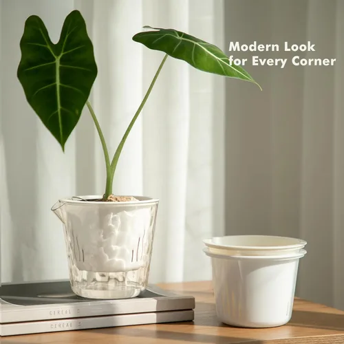 Vista 2 de Macetas de 6.5 pulgadas con riego automático para plantas de interior, paquete de 6 unidades, maceta para violeta africana, macetas con riego Blanco