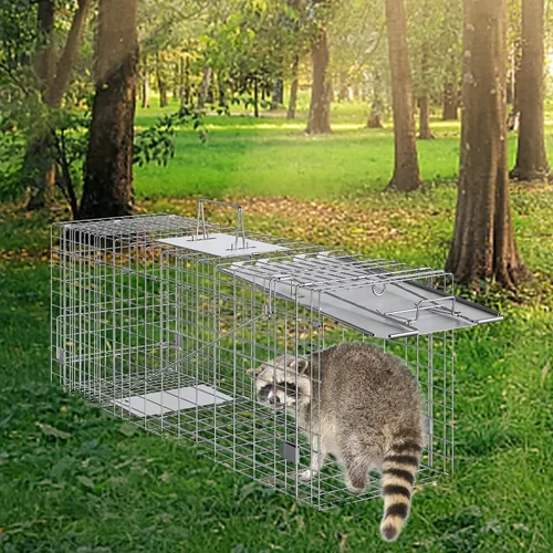 Vista 8 de VEVOR Trampa de jaula para animales vivos, 31 x 10 x 12 pulgadas, trampa para gatos humanitarios de hierro galvanizado, trampa plegable