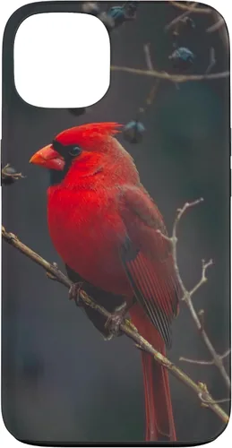 Vista 7 de Funda para iPhone 16 Cardinal Bird
