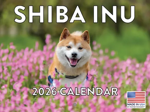 Vista 147 de Calendario mensual de pared Airedale Terrier Dog 2027 rojo (Airedale Terrier)