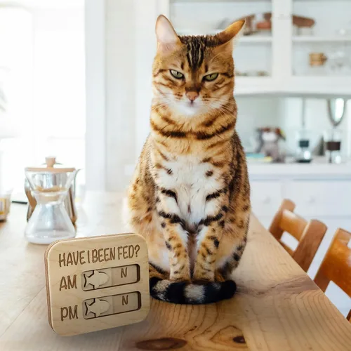 Vista 4 de JennyGems Recordatorio de alimentación para gatos, ¿He sido alimentado? Rastreador magnético de alimentación de gatos AM PM, control deslizante