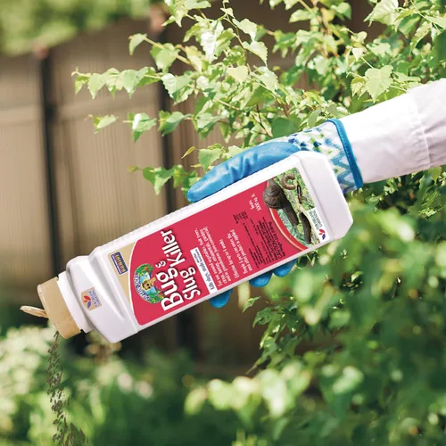 Vista 4 de Bonide Capitán Jack's Bug & Slug Killer Gránulos, 1.5 lb. Protección de larga duración lista para usar, para jardinería orgánica