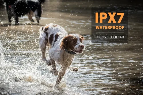 Vista 3 de PATPET Collar de entrenamiento para perros con control remoto, rango de 3/4 millas, collar E impermeable, collar de choque recargable para perros