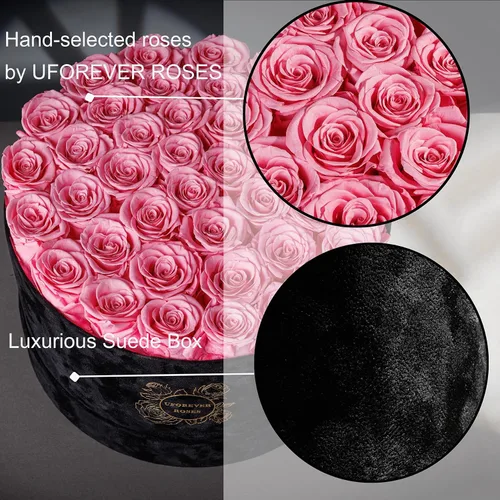 Vista 5 de UFOREVER ROSES 40 Piezas de Rosas Conservadas en Caja de Gamuza, Flores para el Día de la Madre, Regalo de Flores Conservadas para Mujeres, Rosa