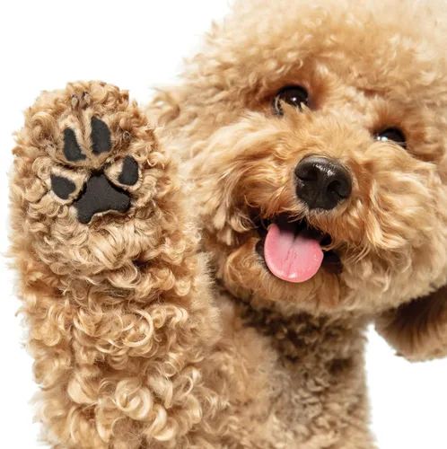 Vista 8 de Bálsamo orgánico certificado por USDA para rescate de patas/patas