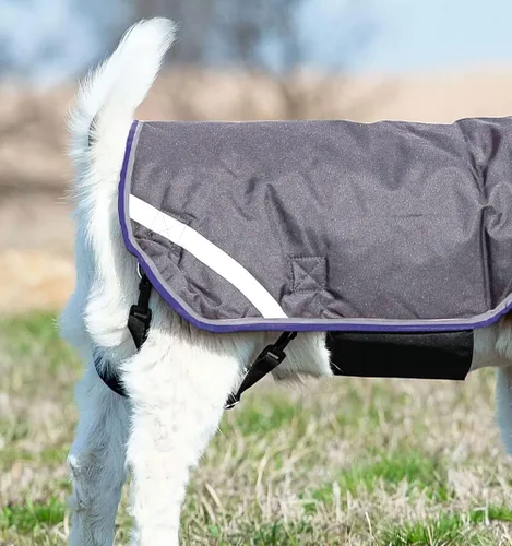 Vista 4 de Horseware Ireland RAHG21-JISK - Abrigo de cabra Excalibur/plateado, XL