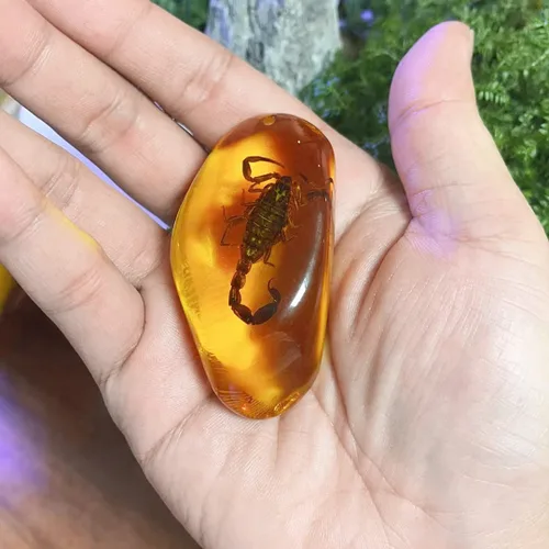 Vista 3 de 8 piezas de fósiles ámbar con insectos, muestras de piedras de cristal para decoración del hogar, colecciones, colgantes ovalados, colgante