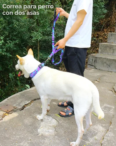 Vista 3 de Hotsky Correa táctica para perro resistente para perros medianos y grandes que tiran, 4-6 pies, resistente correa elástica para perro que absorbe