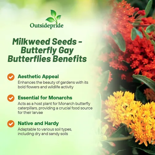 Vista 3 de Outsidepride Gay Butterflies - Semillas de algodoncillo de mariposa, 100 piezas perennes, tolerantes al calor y a la humedad, semillas de flores