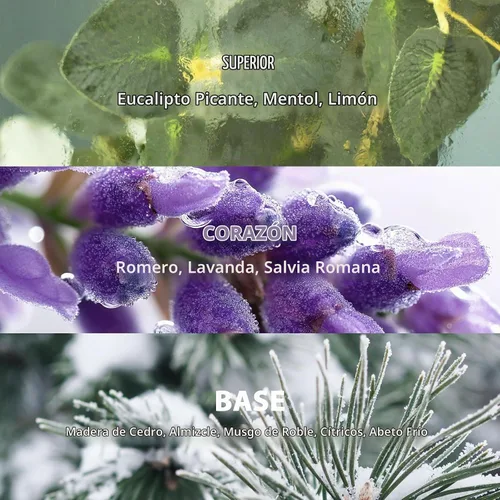 Vista 4 de Juego de Difusor de Aromas con Varillas, Difusor Aromático con Varillas para Fragancias del Hogar, Difusor de Aromas para Decoración de Estanteria