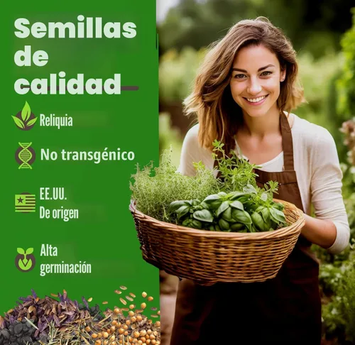 Vista 2 de HOME GROWN Paquete Variado de Semillas de Hierbas Premium - 20 Semillas de Hierbas Reliquia para Plantar - Más de 6,000 Semillas sin OGM