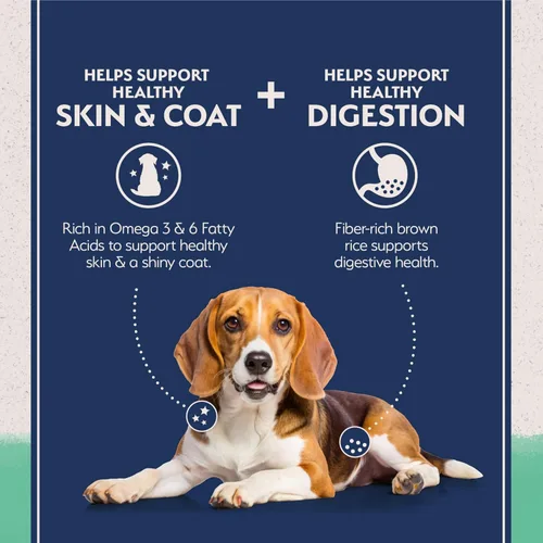 Vista 3 de Natural Balance Dieta de ingredientes limitados de pollo y batata Alimento seco para perros sin granos para adultos 4 libras Bolsa