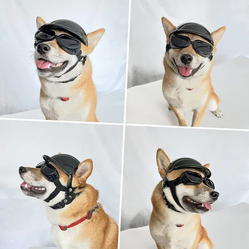 Vista 5 de Casco para perros de raza pequeña con gafas de protección UV, paquete de 2