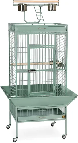 Vista 8 de Productos en hierro forjado Prevue para mascotas, selecta jaula de aves, negro Hammertone 3151BLK, negro (Black Hammertone) Jaula de acero
