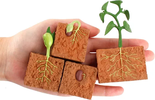 Vista 5 de 4 unids ciclo de vida plantas verdes juguete educativo PVC ciclo de crecimiento planta falsa juguete para niños herramienta de enseñanza