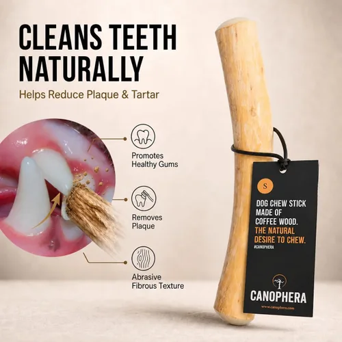 Vista 6 de Canophera Palitos masticables para perros de madera de café para masticadores regulares - tamaño pequeño