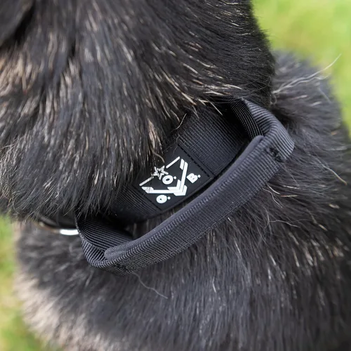 Vista 7 de Operation Good Boy - Collar táctico para perro, nailon duradero de grado militar con hebilla de liberación rápida y asa de entrenamiento, ajustable