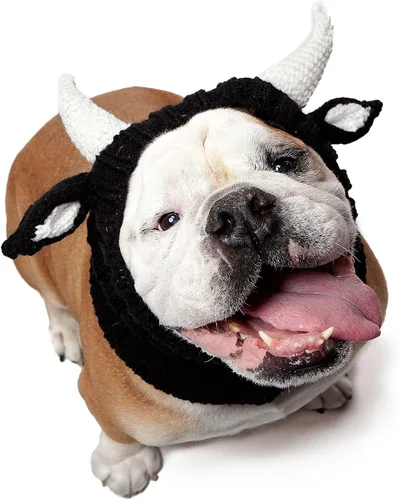 Vista 12 de Zoo Snoods - Disfraz de vaca para perro, disfraz de toro para perros (talla M) Soft knit snood ear warmer with hand-crocheted cow horns and ears