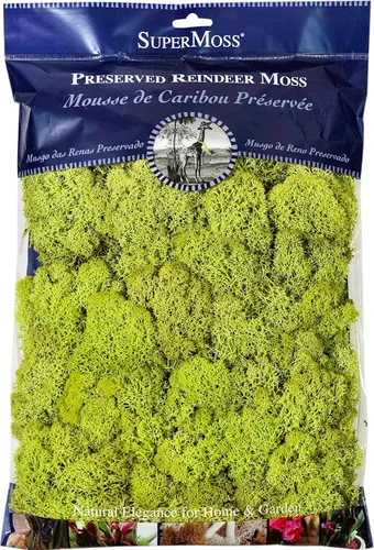 Vista 15 de Musgo preservado SuperMoss, Verde bosque