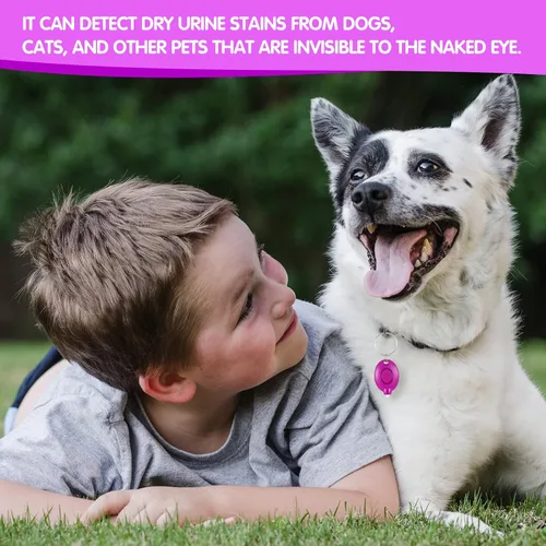 Vista 5 de 50 mini llavero UV LED linterna 395nm luz UV llavero luz negra linterna portátil llavero UV linterna linterna para mascotas orina pasaporte tarjeta