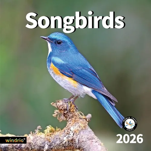 Vista 9 de Calendario de pared 2026, Calendario divertido 2026, noviembre de 2025 - diciembre de 2026, calendario de pared con memes divertidos de animales, 12