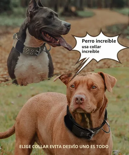 Vista 4 de Collar de perro grande resistente – 2 pulgadas de ancho con asa para perros de razas extra grandes, collar táctico de nailon a prueba de mordidas