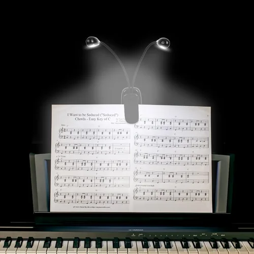 Vista 2 de Luz de soporte de música, paquete de 1/2/4/10 luces LED de libro, funciona con batería USB y AAA, lámpara de lectura en la cama, 4 niveles