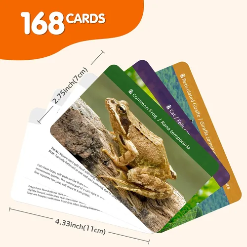 Vista 8 de MEROCO Juego de cartas de pistas de animales de safari, juegos de animales de granja, juego de pistas de animales, juguetes educativos