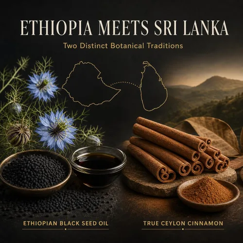 Vista 6 de Sikaroots Aceite de semilla negra etíope + canela de Ceilán con aceite MCT, 60 cápsulas blandas