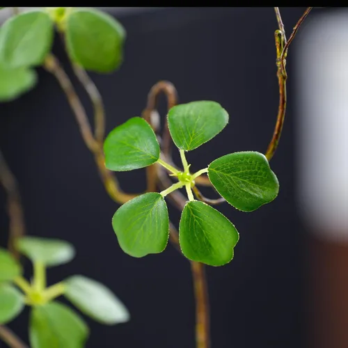 Vista 7 de 2 tallos de eucalipto sintético con hojas, tallos de vegetación falsos de 33.5 pulgadas, tallos de plantas artificiales para decoración de jarrones