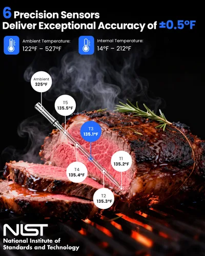Vista 2 de PROGRACE Termómetro inalámbrico Bluetooth inteligente para carne: base independiente, rango ilimitado WiFi, 6 sensores con precisión certificada