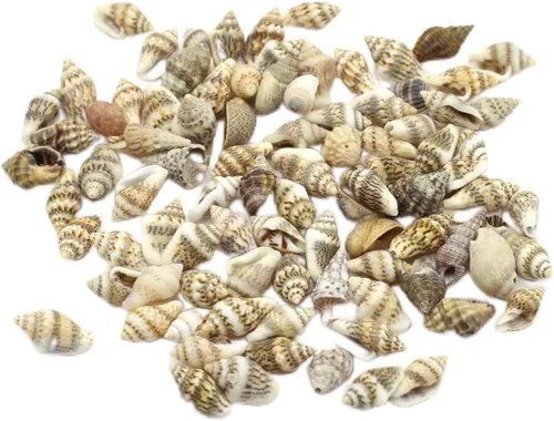 Vista 9 de Acuario de concha natural para pecera, cuentas hechas a mano para hacer joyas, manualidades, pulsera, accesorio