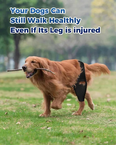 Vista 2 de Rodillera para perro, soporte de ACL para perros para patas traseras y traseras delanteras y traseras