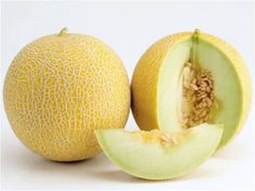 Vista 2 de Israelí (Antiguo Original) Melón - Carne Cremosa y es Carne Aromática Muy Dulce (10 - Semillas)