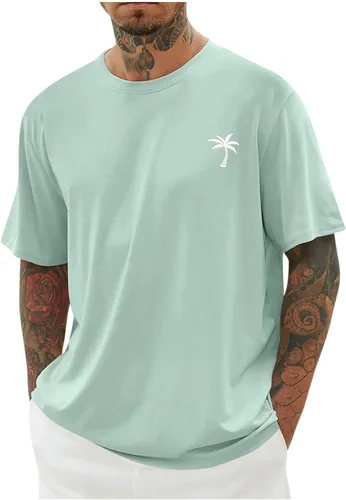 Vista 14 de Camiseta deportiva para hombre, casual, de manga corta, cuello redondo, ajuste holgado, atlética, correr, gimnasio, entrenamiento, camisetas
