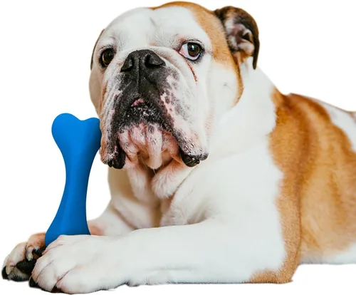 Vista 8 de Juguetes para perros para masticadores agresivos, juguete de hueso de perro súper masticable, resistente, para perros grandes y medianos, raza
