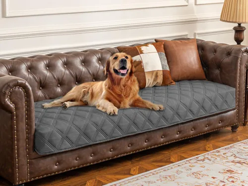 Vista 28 de Ameritex Funda impermeable para cama de perro, manta para mascotas con parte trasera antideslizante para muebles, cama, sofá