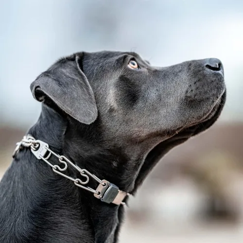 Vista 5 de Herm Sprenger Hebilla de cierre rápido ClicLock de acero inoxidable para collar de entrenamiento de dientes para perros y liberación rápida