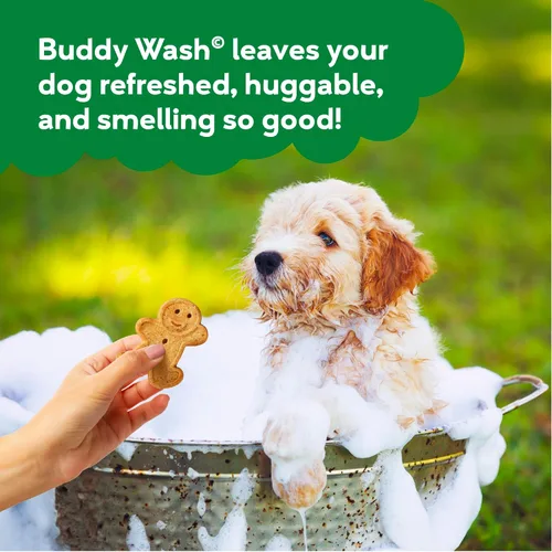 Vista 5 de Buddy Grooming Wash Champú 2 en 1 para perros, té verde y bergamota, botella de 16 onzas