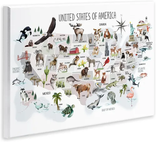 Vista 2 de Estados Unidos de América Mapa de Animales Kid's' Arte de placa de pared