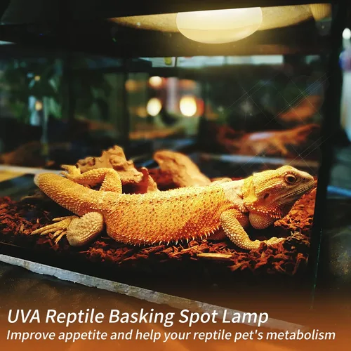 Vista 5 de Bombilla de calor para reptiles (3ª generación sin rota), paquete de 2 luces de 50 W para reptiles y anfibios, bombilla de calor de luz diurna UVA